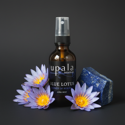 Blue Lotus Mist - dark background botanical art style