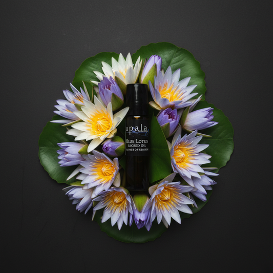 Blue Lotus Sacred Oil Roll-On - asymmetrical arrangement